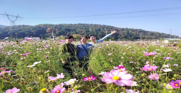 澧县土地资源,澧县公共基础设施,澧县工商业信息咨询,澧县澧州实业发展有限公司