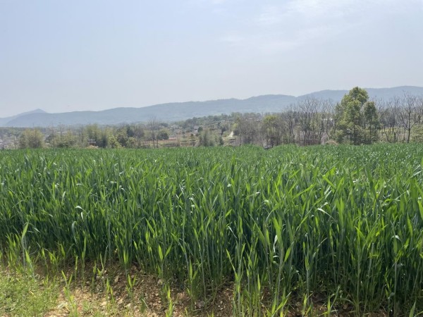 澧县土地资源,澧县公共基础设施,澧县工商业信息咨询,澧县澧州实业发展有限公司
