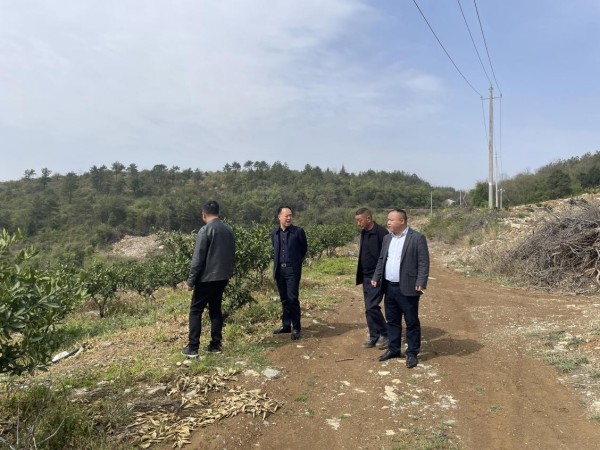 澧县土地资源,澧县公共基础设施,澧县工商业信息咨询,澧县澧州实业发展有限公司